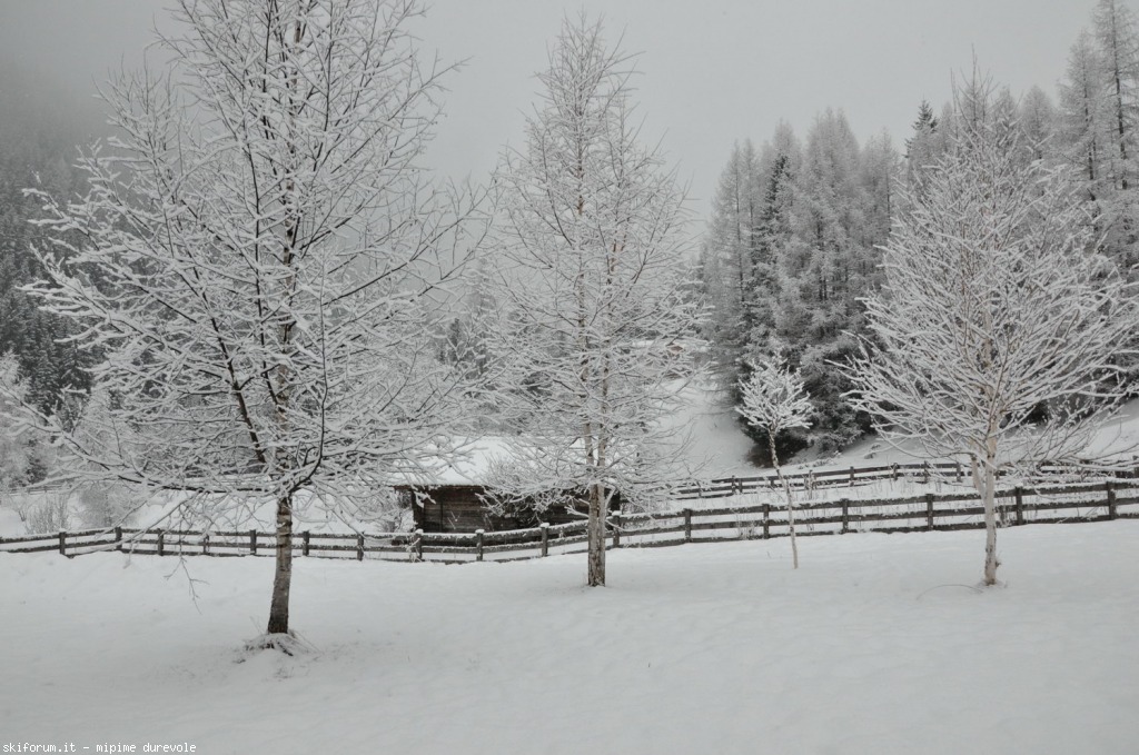 151371-la-villa-sentiero--dsc0051.jpg
