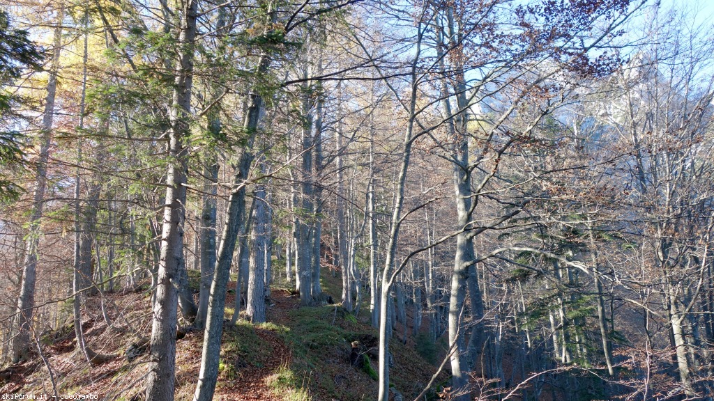 152460-dsc01816.jpg