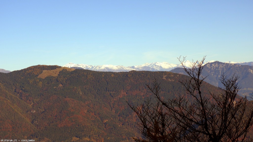 152461-dsc01824.jpg