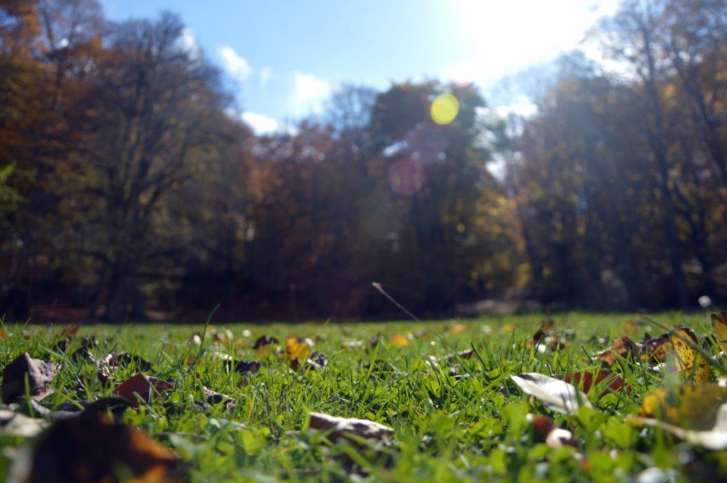 152952-dsc0508.jpg