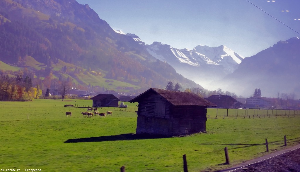 152954-murren-201510312.jpg