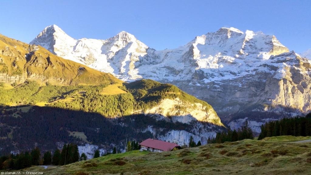 152964-murren-2015103114.jpg