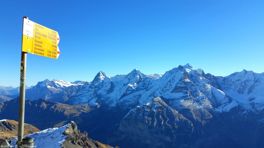 152985-murren-2015110149.jpg