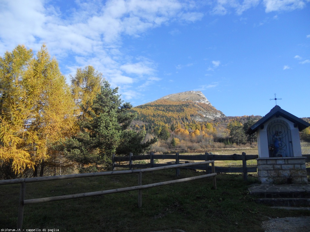 153132-stivo-dscn9518.jpg