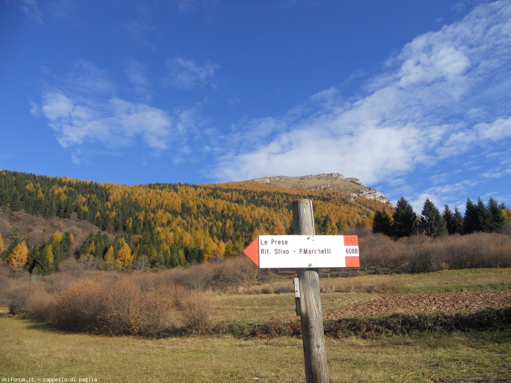 153136-stivo-dscn9535.jpg