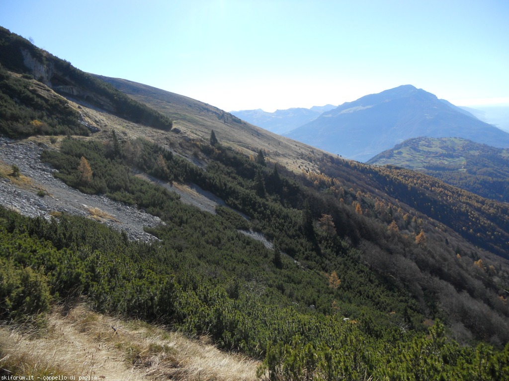153143-stivo-dscn9585.jpg