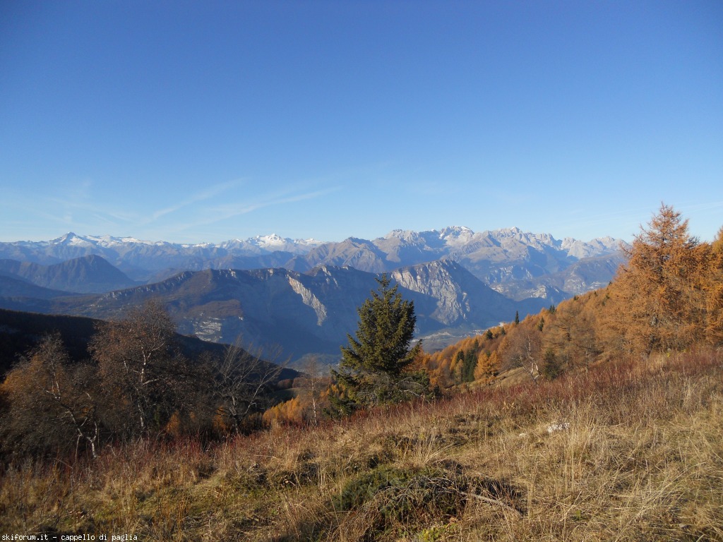 153149-stivo-dscn9667.jpg
