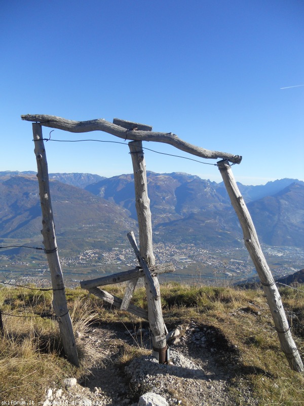 153151-stivo-dscn9672.jpg