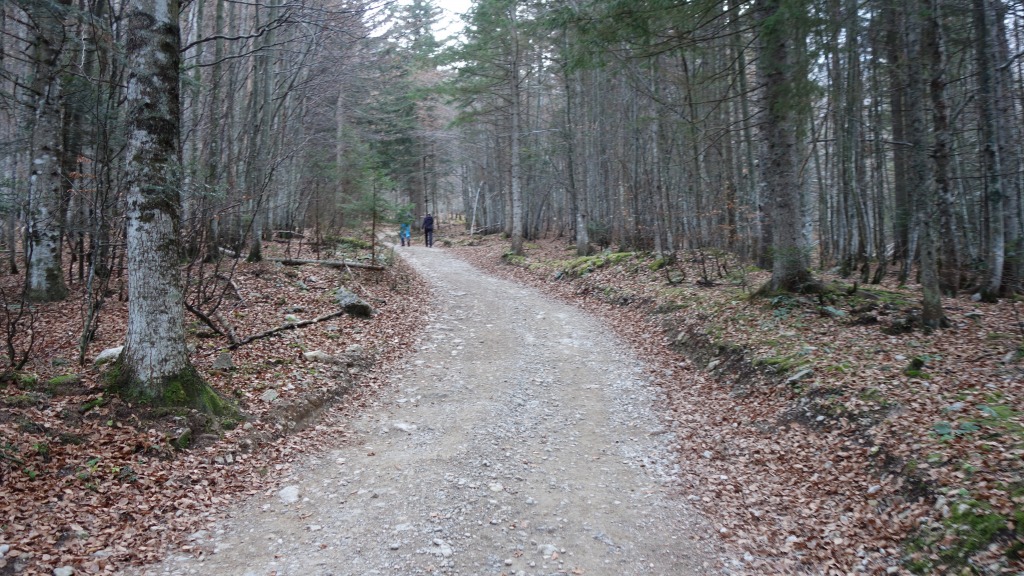 153450-dsc02170.jpg