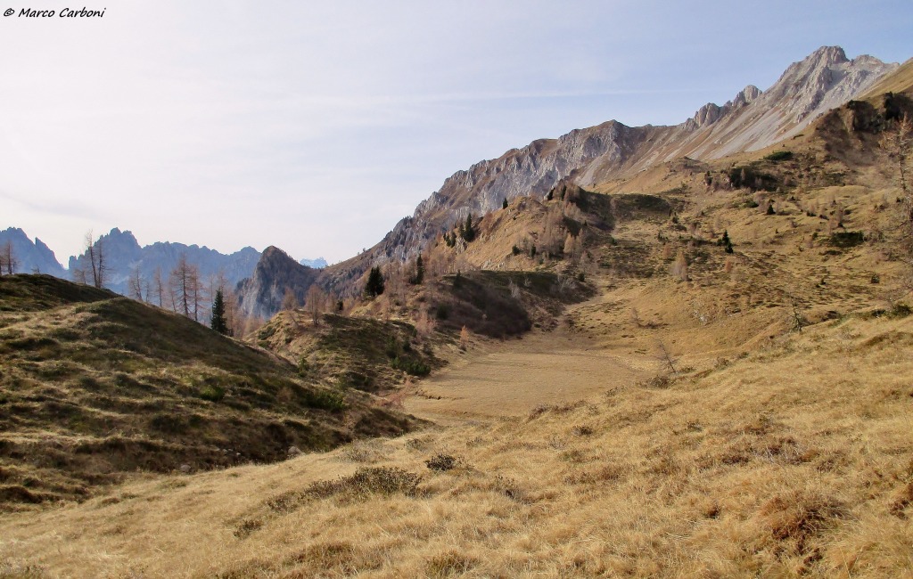 153540-tiarfin-5-img3000.jpg