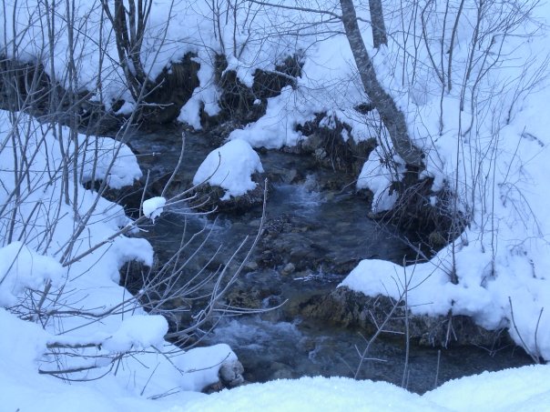 155893-val-zoldana-dicembre-2008-513382347479664450n.jpg