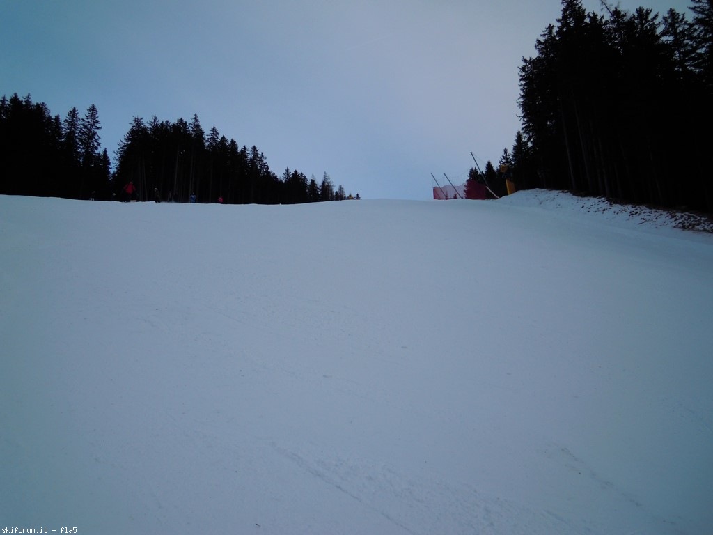 156784-dscn5042.jpg
