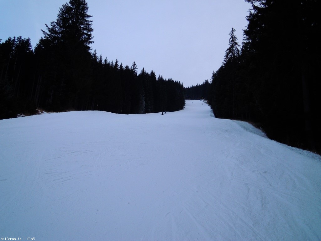 156804-dscn5069.jpg