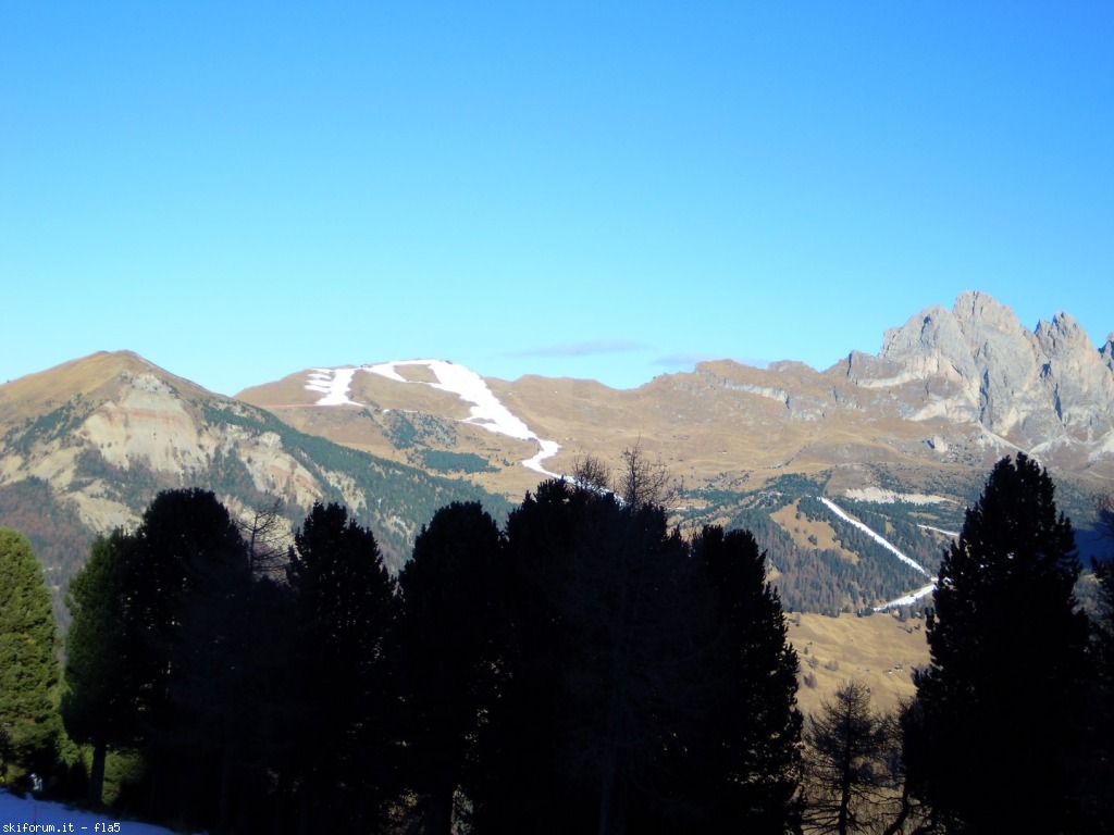 156902-dscn5077.jpg