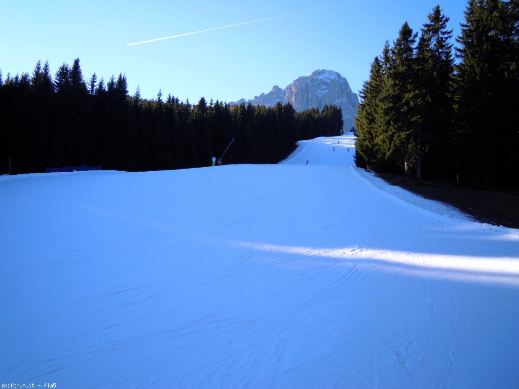 156903-dscn5079.jpg
