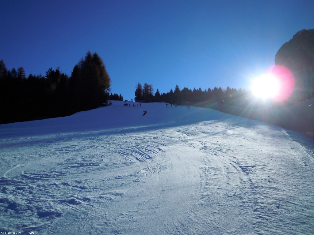 156907-dscn5085.jpg