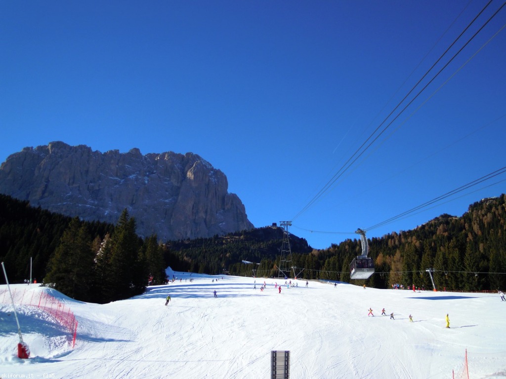 156915-dscn5093.jpg