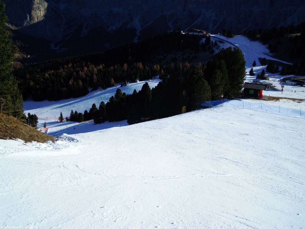 156920-dscn5100.jpg