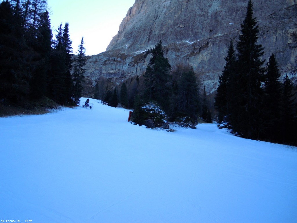156932-dscn5116.jpg