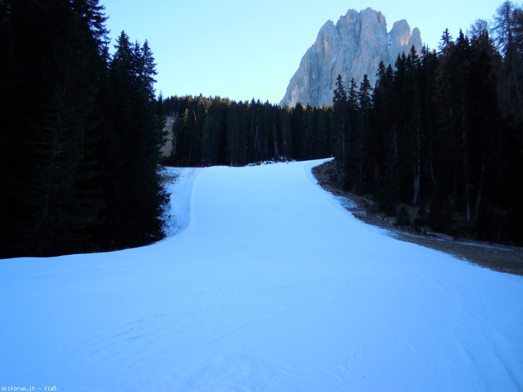 156938-dscn5122.jpg