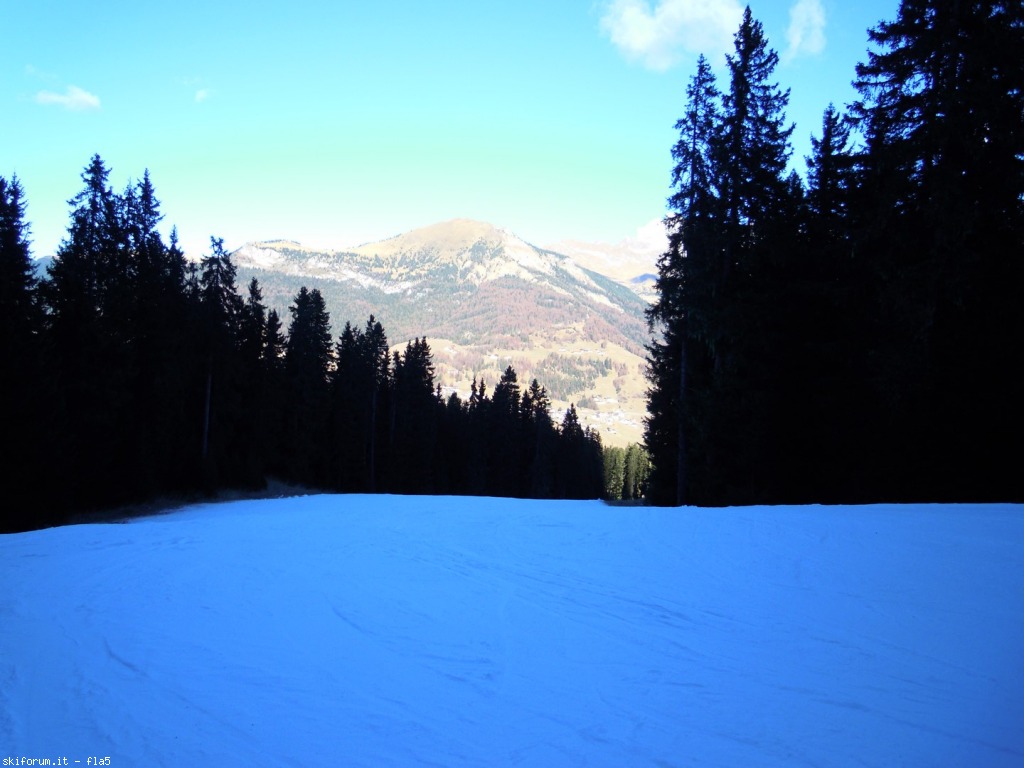 156939-dscn5123.jpg