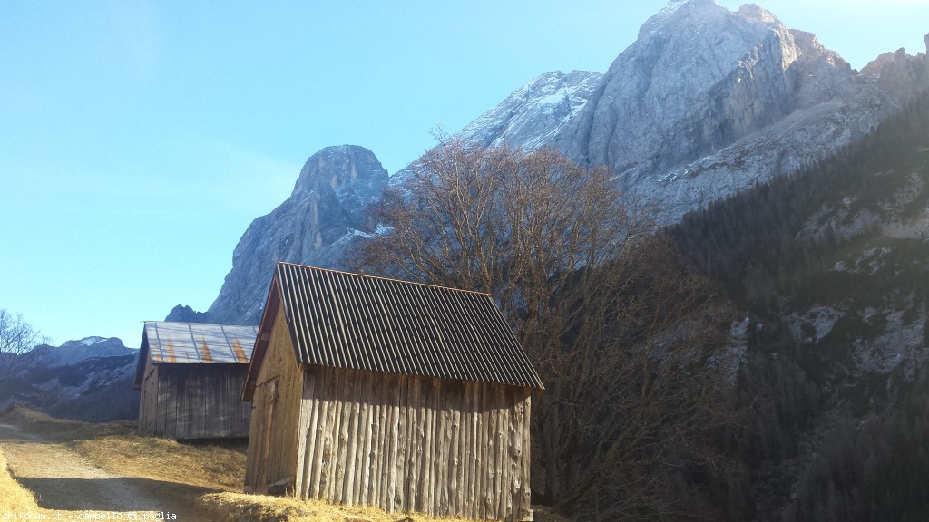 157334-troi-de-penia-20151228134826.jpg
