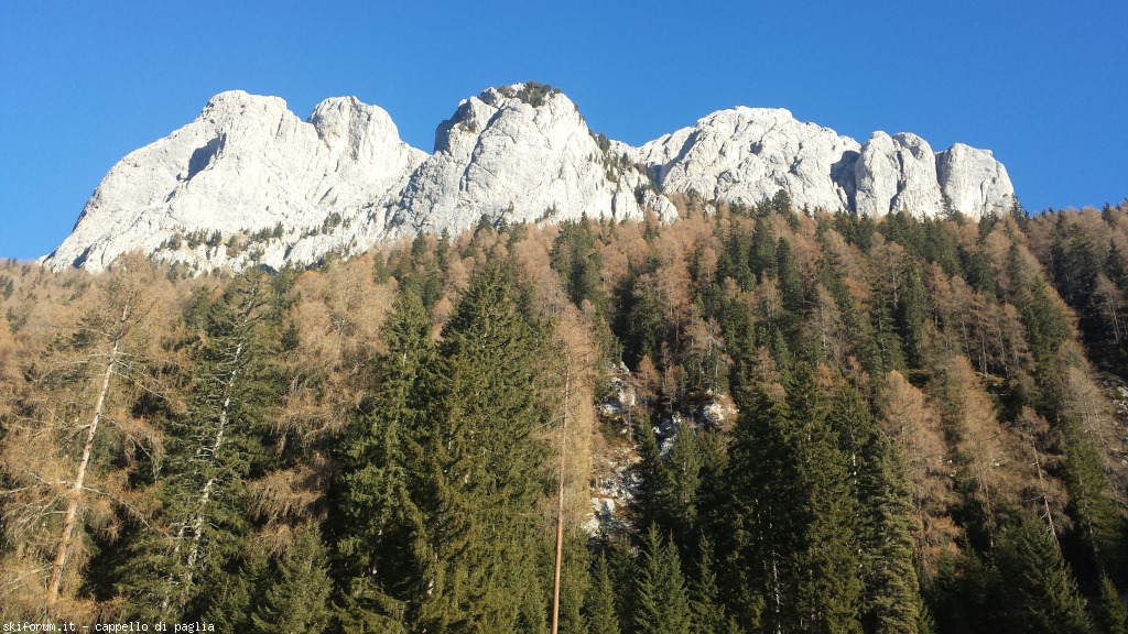 157343-pociace-20151229142123.jpg