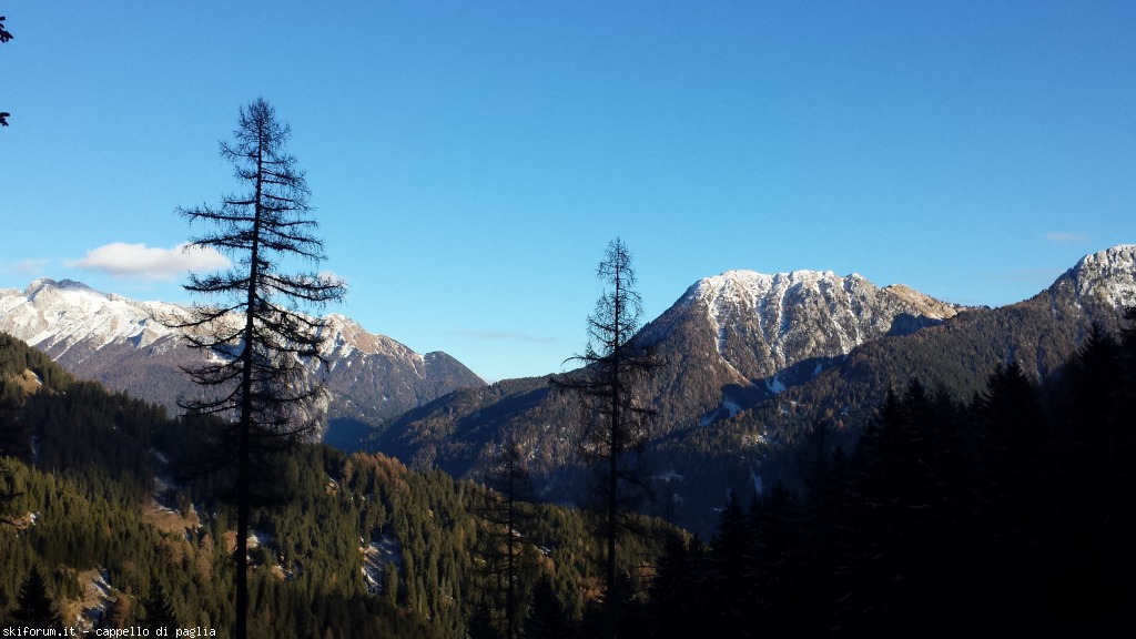 157366-valsorda-20160103144420.jpg