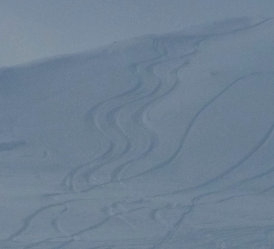 157752-20160106135003.jpg