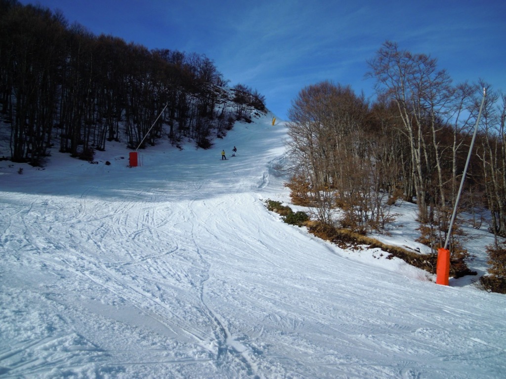 157818-dscn5172.jpg