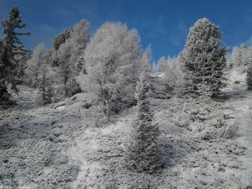 158107-skiareacampiglio-2016-01-04-10.26.12.jpg