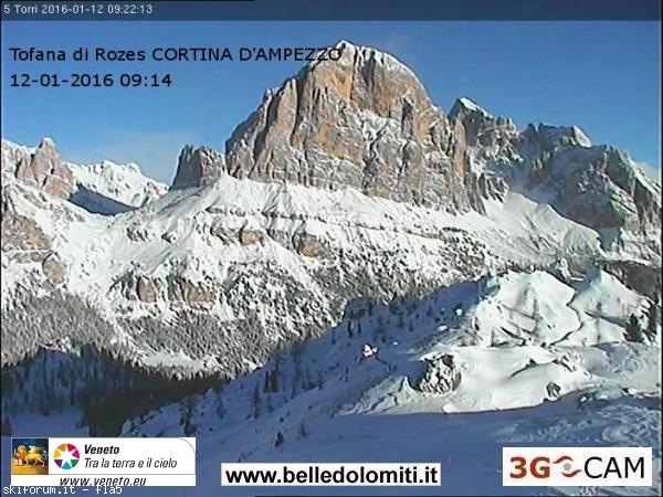 158244-rozes.jpg