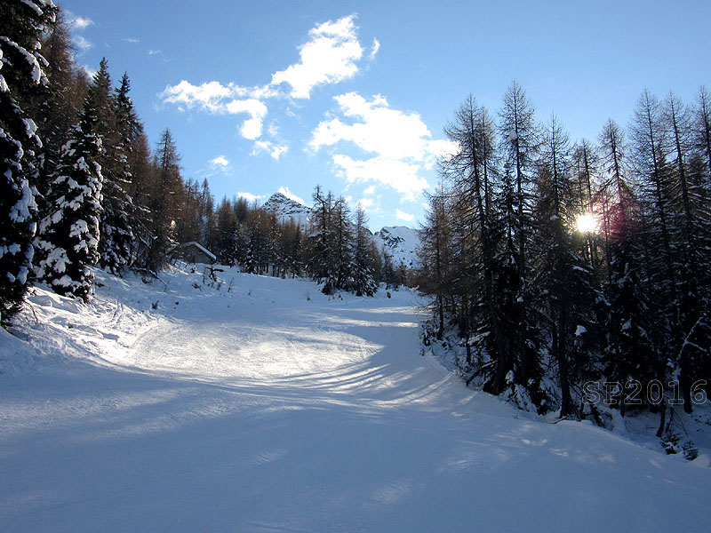 158587-aprica-160115-img2053.jpg