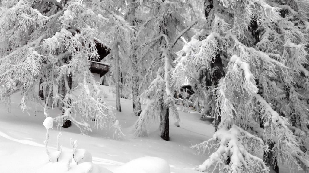 158768-deep-valais-2-img20160113120143.jpg
