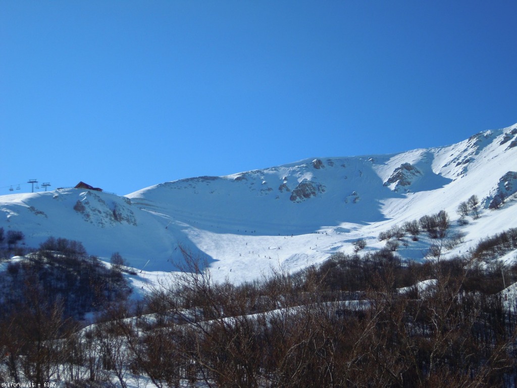 159084-dscn5195.jpg