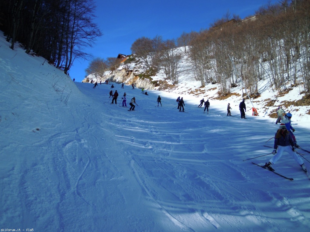 159093-dscn5216.jpg
