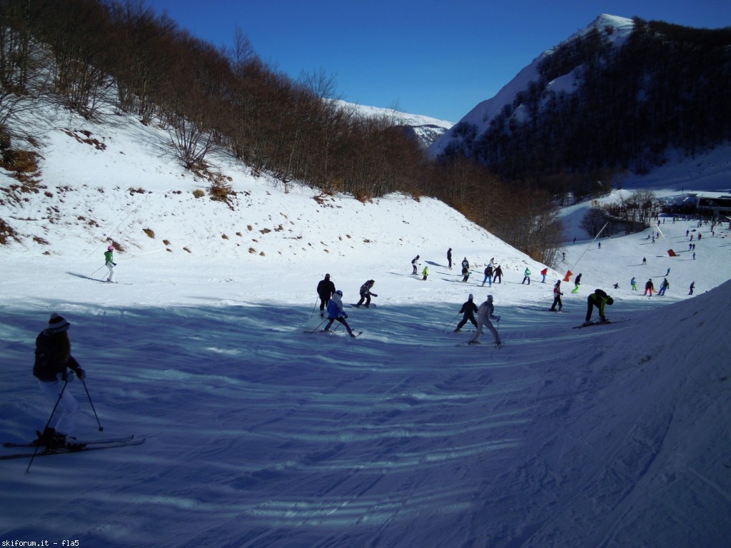 159094-dscn5217.jpg