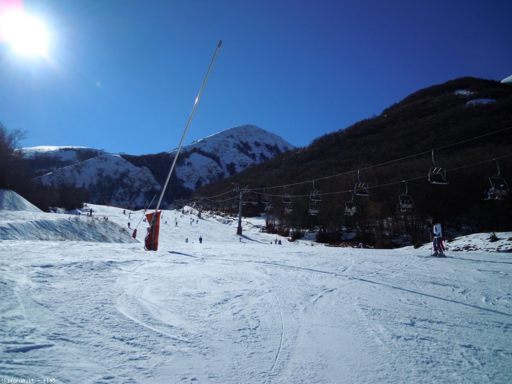 159095-dscn5218.jpg