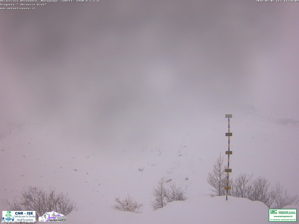160469-webcam-neve-7-febbraio-2016-ghiacciaiobelvedere.jpg