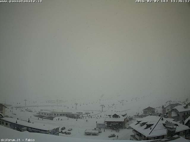 160471-webcam-neve-7-febbraio-2016-passotonale.jpg