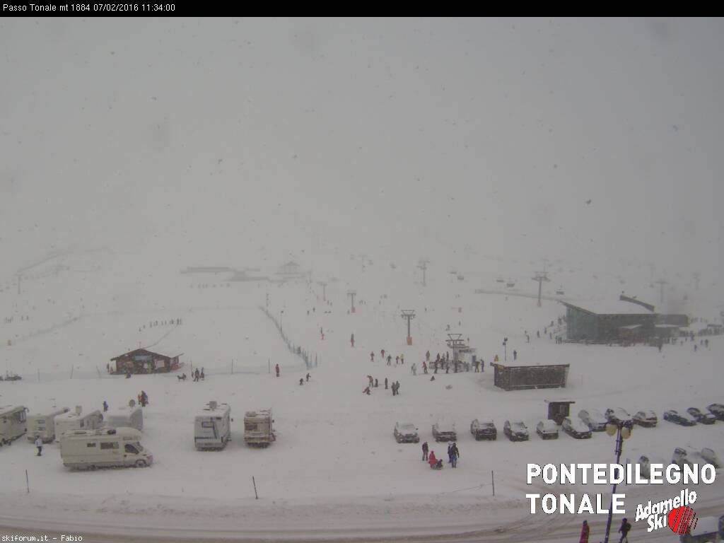 160473-webcam-neve-7-febbraio-2016-tonale.jpg