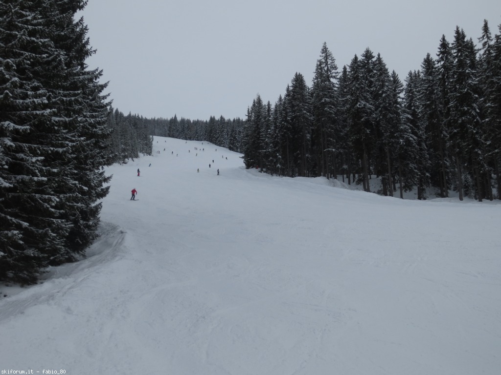 162363-flachau-img4113.jpg