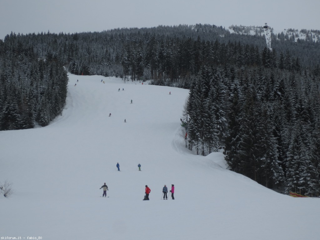 162364-flachau-img4114.jpg