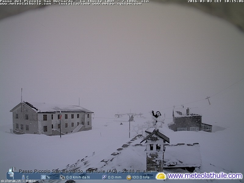 162832-piccolosanbernardo.jpg