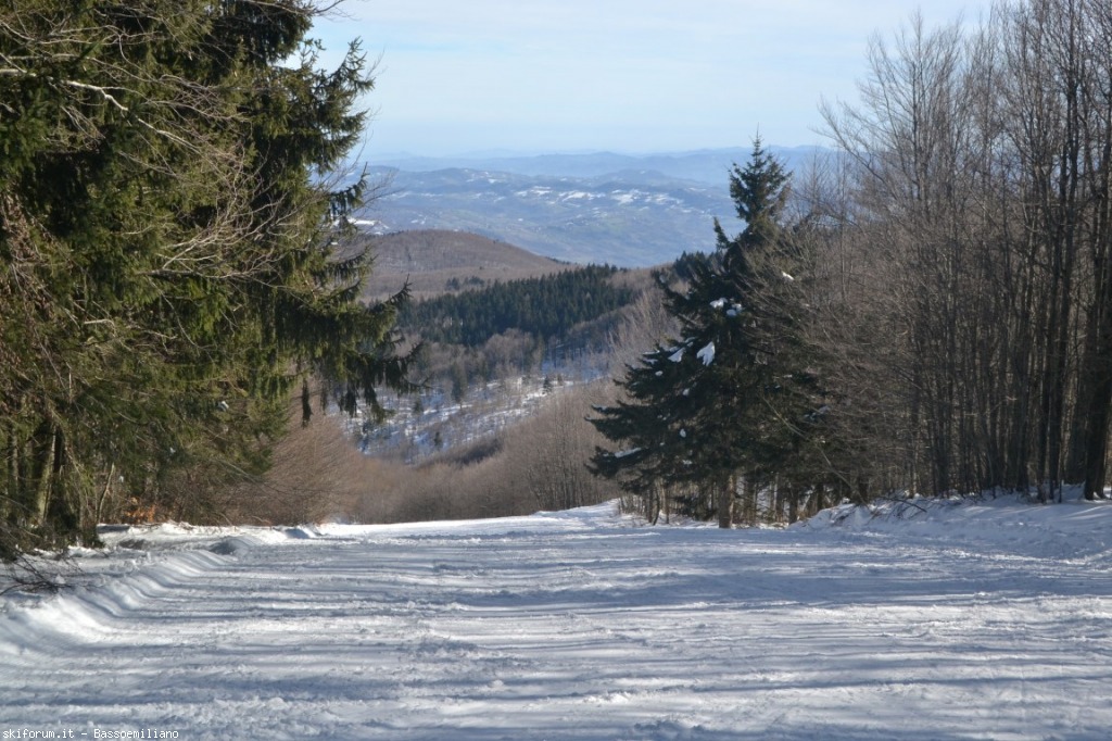 162928-dsc0797-medium.jpg