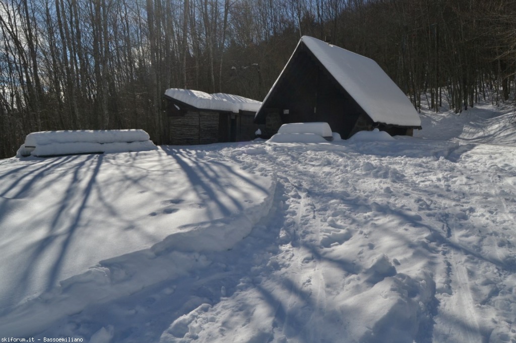 162929-dsc0798-medium.jpg