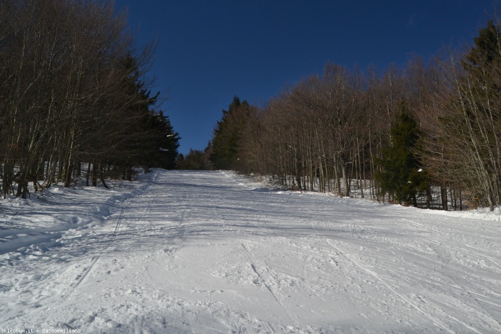 162930-dsc0800.jpg