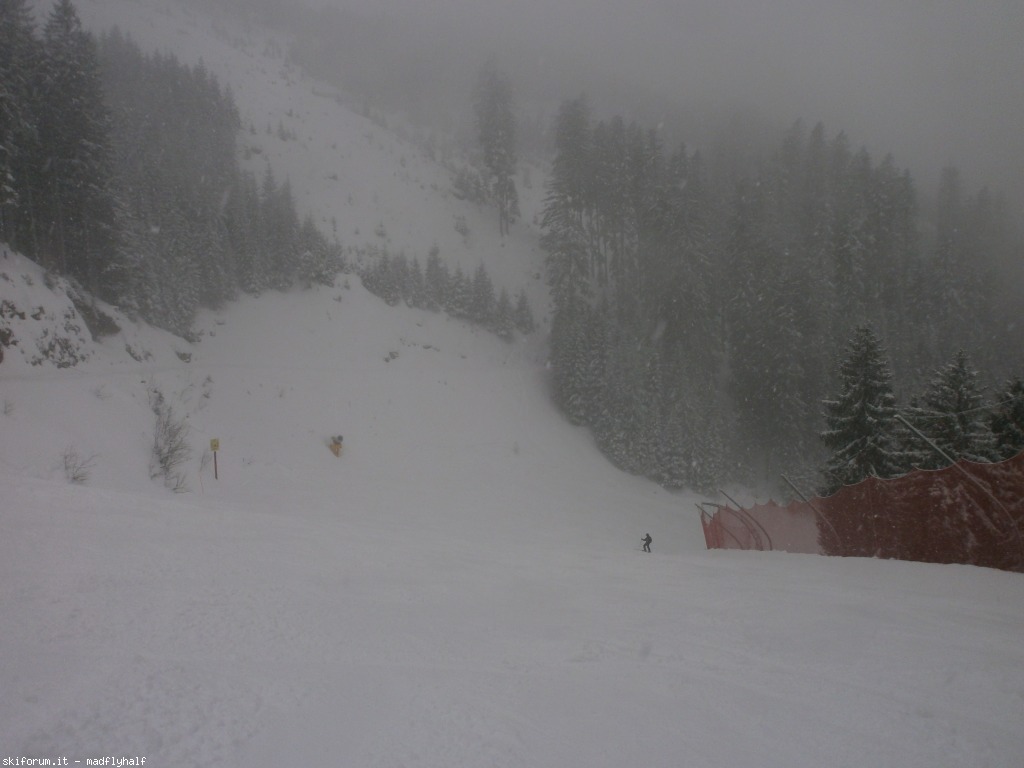 163137-cermis-p3050094.jpg