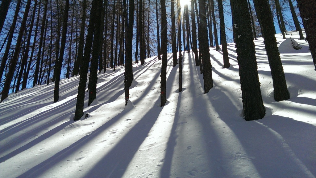 163604-imag0769.jpg