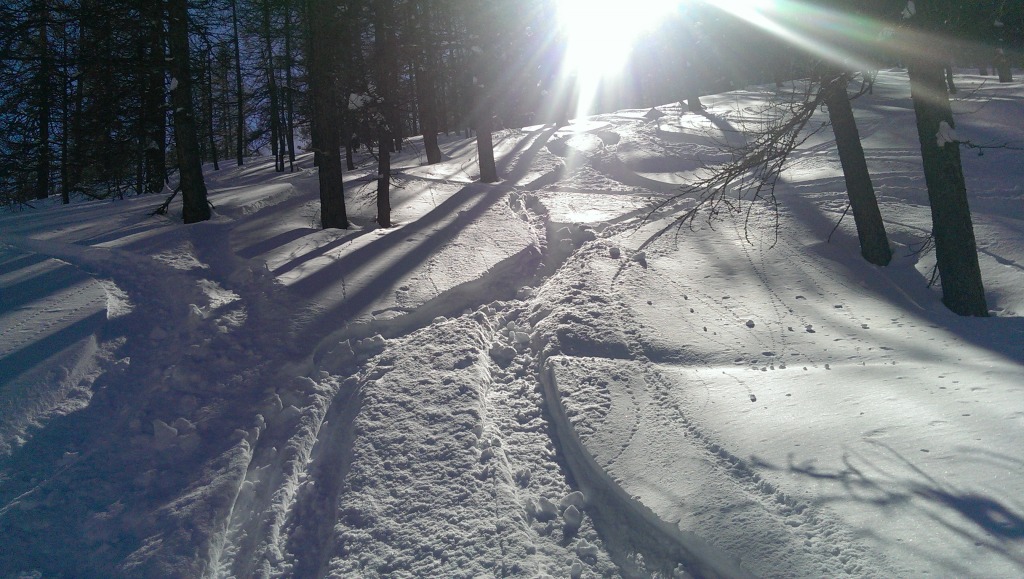 163606-imag0771.jpg